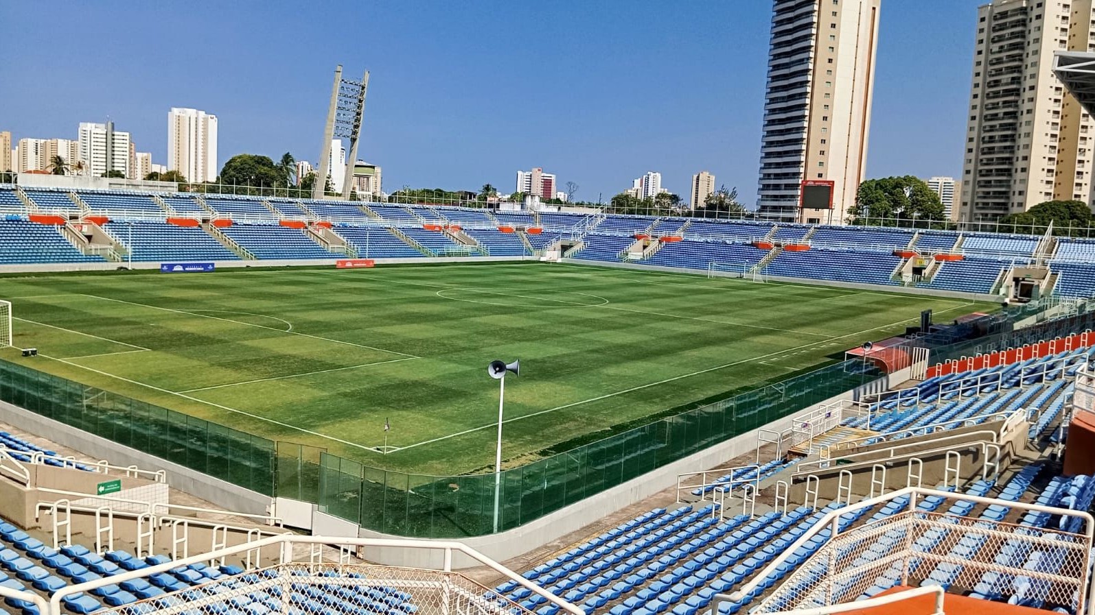 foto do gramado do PV